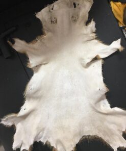 Knoblochs Deer Hunter's & Trapper's Hide & Fur Tanning Formula Multi Pack 1 34 61i1QaUf7L