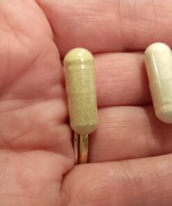 Zenwise Digestive Enzymes - Probiotic Multi Enzyme with Probiotics and Prebiotics for Digestive Health and Bloating Relief for Women and Men, Enzymes for Gut Health - 180 Count 32 61i4tUyLisL