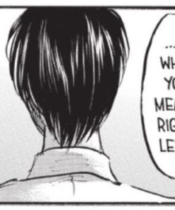 Attack on Titan 13 3 61iBS3Gx GL