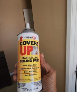 Zinnser 03688 Covers Up Stain Sealing Ceiling Paint, White 13 Ounce (Pack of 1) Spray Can 55 61iHl6b6t1L