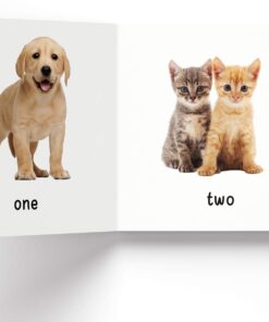 My First Library : Boxset of 10 Board Books for Kids (My First Book of) Board book 57 61iIKK5tM7L