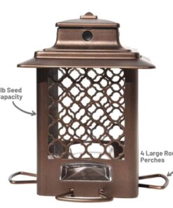 Stokes Select Bird Feeder, Metal Hopper Bird Feeder, 4 Feeding Ports, 3.6 lb Bird Seed Capacity, Copper Finish 27 61iItXexXHL
