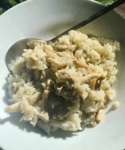 Back to the Roots Organic Oyster Mushroom Grow Kit, Harvest Gourmet Mushrooms In 10 Days 1 Count (Pack of 1) 76 61iJSPw6P9L