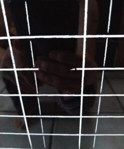 Magnetic Refrigerator Chalkboard Dry Erase Chore Responsibility Activity Reward Star Exercise Diet Nutrition Chart Children Kids Teens Mom Teacher in Home Kitchen Classroom 12" X 16" Black Fluorescent 12" X 16" (Chore / Responsibility Chart) 30 61iL7nWGaL