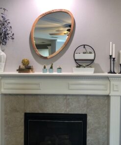 Shop Succulents | Unique Collection of Live Succulent Plants, Hand Selected Variety Pack of Mini Succulents | Collection of 12 6-Pack 50 61iMLloE4VL