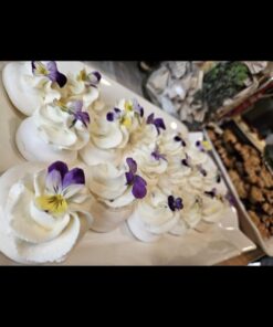 Outsidepride Viola Johnny Jump Up Wild Flowers & Ground Cover Plants - 5000 Seeds Johnny-jump Up 47 61iMtUiEj6L