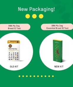 Dna My Dog Essential Test –Breed ID Test Mixed Breed Identification, Personality Traits, for Puppies to Adult Dogs, Non-Invasive Cheek Swab 29 61iNA3v1U5L