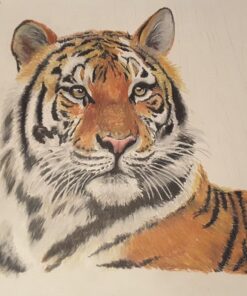 Derwent Colored Drawing Pencils, Metal Tin, 24 Count (0700672) 24 Count (Pack of 1) 37 61iQuVxjgIL