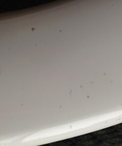 TOTO Transitional SoftClose SS114#01 Elongated Soft Close SEAT, Cotton White 34 61ih2ZveJ4L