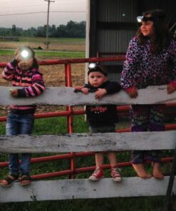 EverBrite 5-Pack LED Headlamp, 4 Lighting Modes, Pivoting Head with Adjustable Headband, Perfect for Running, Camping and Hiking, Batteries Included 27 61ij2aevBlL