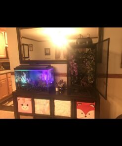 Zoo Med ReptiBreeze Open Air Screen Cage, Extra Large, 24 x 24 x 48-Inches 35 61ipRAR CL