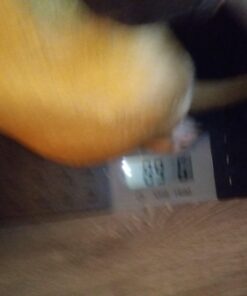 W.C Redmon Precision Digital Pet Scales, Large Large (Pack of 1) 25 61ix2xD1ZyL