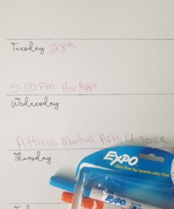 EXPO 1884308 Low-Odor Dry Erase Markers, Ultra Fine Tip, Fashion Colors, 4-Count 4-count - FASH 21 61ix4QXy0XL