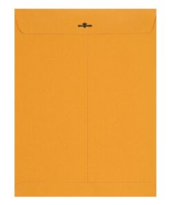 Amazon Basics 9 x 12-Inch Clasp Kraft Envelopes, Gummed, 100-Pack 9" x 12" 10 61ixOfK aGL