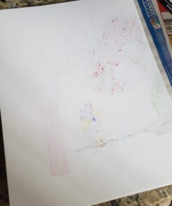 Bee Paper Bleedproof Marker Pack, 8-1/2-Inch by 11-Inch, 50 Sheets per Pack 8-1/2-inch x 11-inch, 50 Sheet Pack 17 61j0c6eOWzL