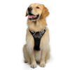 rabbitgoo Dog Harness, No-Pull Pet Harness with 2 Leash Clips, Adjustable Soft Padded Dog Vest, Reflective No-Choke Pet Oxford Vest with Easy Control Handle for Large Dogs, Black, XL X-Large 16 61j56KPOvlL