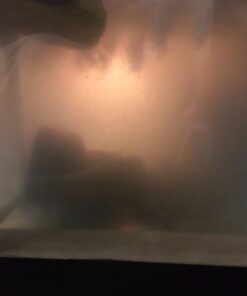 Penn-Plax Cascade All-in-One Aquarium Canister Filter – for Tanks Up to 100 Gallons (265 GPH) – Cascade 1000 Cascade-1000 57 61j5Pl5T7pL