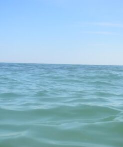 ZONMAN DSLR Camera Univeral Waterproof Underwater Housing Case Pouch Bag for Canon Nikon Sony Pentax Brand Digital SLR Cameras Transparent 42 61j6vpNcR1L