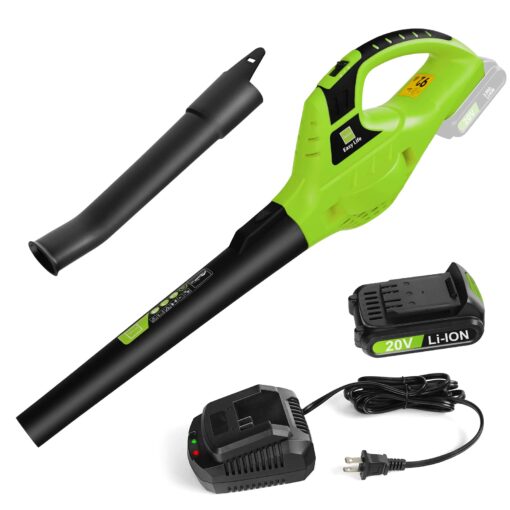 Leisch Life Cordless Leaf Blower Battery Operated,20V Handheld Electric Leaf Blower w/2.0Ah Battery & Fast Charger, 2 Speed Mode, Lightweight Battery Powered Blowers for Patio, Blowing Leaves and Snow Green