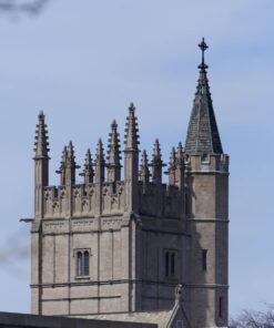 Nikon AF-P NIKKOR 70-300mm f/4.5-5.6E ED VR Fixed Zoom Digital Slr Camera Lens, Black 52 61jHGoitw0L