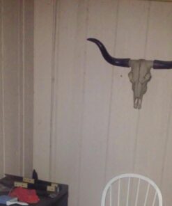 Long Horn Cow Skull Wall Hanging Longhorn Steer 32 61jOi3PDOaL