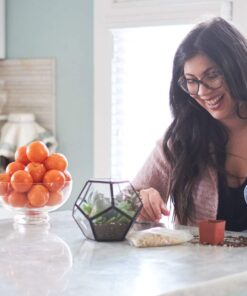 Shop Succulents | Unique Collection of Live Succulent Plants, Hand Selected Variety Pack of Mini Succulents | Collection of 12 6-Pack 36 61jSDCjr8bL 1