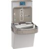 Elkay LZS8WSLP Bottle Filling Station, Single, Light Gray Granite 23 61jTU7w4 bL