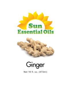 Sun Essential Oils 16oz - Ginger Essential Oil - 16 Fluid Ounces 16 Fl Oz (Pack of 1) 7 61jUXx 9kqL