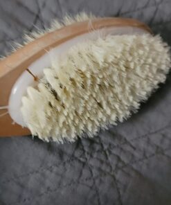 Vive Back Scrubber Brush for Shower - for Dry or Wet Body Brushing - Long Handle - Cleaning Lymphatic Drainage Handled Washer for Men, Women - Showering Bathing Exfoliator with Soft & Stiff Bristles Light Wood 30 61jYcOKXP L 1