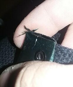 Fox Outdoor Products Military Belt Black 6 61ja0S e 8L