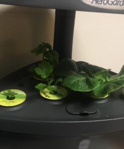 AeroGarden Classic 6 with Gourmet Herb Seed Pod Kit 56 61jcf iHLFL