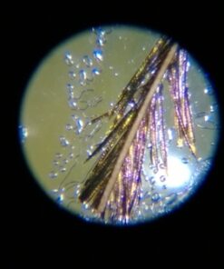 Educational Insights Nancy B's Science Club Microscope for Kids, Microscope Kit, Gift for Boys & Girls, Ages 8-12 47 61jfS JWZvL 1