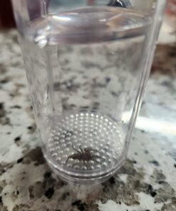 Nature Bound Bug Catcher Toy, Eco-Friendly Bug Vacuum, Catch and Release Indoor/Outdoor Play, Ages 6+ Retail Packaging 26 61jlgFoaCAL