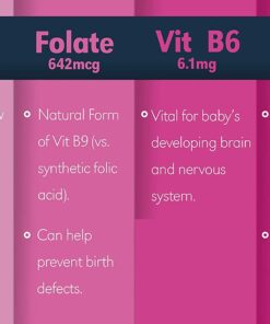 Baby Booster Chocolate Mocha Prenatal Vitamin Supplement and Protein Shake, Caffeine Free, All Natural, Vegetarian DHA, High Protein, Methyl Folate, B Vitamins, Great for Morning Sickness, 1 lb 1 Pound (Pack of 1) 16 61joFTGH2CL 1