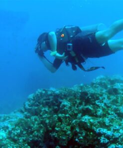 AKASO EK7000 4K30FPS 20MP Action Camera Ultra HD Underwater Camera 170 Degree Wide Angle 98FT Waterproof Camera Support External Microphone Black 37 61jr wKBl L