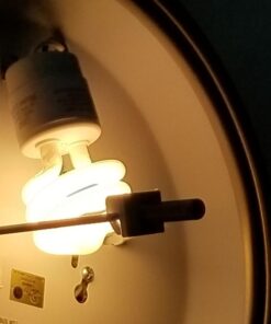 Feit BPESL13T/GU24/2 13-watt Twist Soft White GU24 Base, 2-Pack 9 61jyH5GIDgL