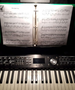 Manhasset 1000 School Music Stand Light Lamp 1 Pack 10 61jzcybv0zL