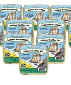 Pine Tree Farms 12 Pack Sunflower Heart Suet Cakes, White, 12 ounces each 3 61k NRx0ndL