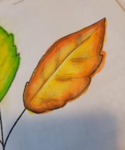 U.S. Art Supply Super Crayons Set of 36 Colors - Smooth Easy Glide Gel Crayons - Bright, Blendable and Washable 38 61k fbSVonL