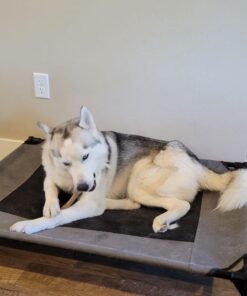 Benebone Wishbone Durable Dog Chew Toy for Aggressive Chewers, Real Bacon, Made in USA, Medium 33 61k2rSeRcRL