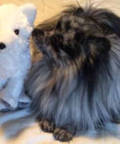 Wild Republic Arctic Fox Plush, Stuffed Animal, Plush Toy, Gifts for Kids, Cuddlekins 12 Inches 31 61k3KYmpYsL