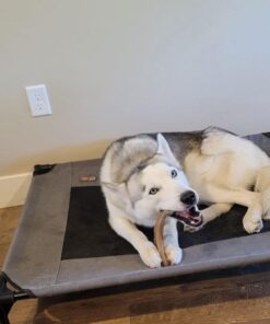 Benebone Wishbone Durable Dog Chew Toy for Aggressive Chewers, Real Bacon, Made in USA, Medium 34 61k4Dn52MrL