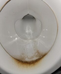 PUMIE Toilet Bowl Ring Remover, TBR-6, Grey Pumice Stone with Handle, Removes Unsightly Stains from Toilets, Sinks, Tubs, Showers, Pools, Safe for Porcelain, 1 Pack 1 Count (Pack of 1) 64 61k4pmkROdL