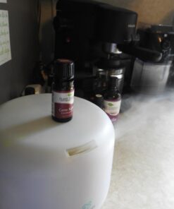 Plant Therapy Germ Fighter Essential Oil Blend 100% Pure, Undiluted, Natural Aromatherapy, Therapeutic Grade 10 mL (⅓ oz) 0.33 Fl Oz 23 61k9A4 YlrL