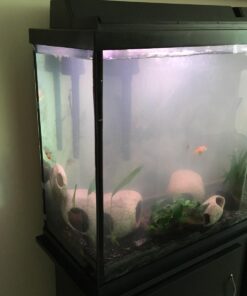 SunSun JUP-01 9W UV Sterilizer Submersible Filter Pump 50 61kADHTyraL