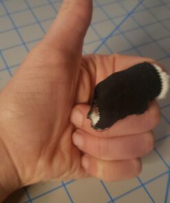 OLFA 45mm Ergonomic Rotary Cutter (RTY-2/DX) - Rotary Fabric Cutter w/ Blade Cover & Squeeze Trigger for Quilting, Sewing, Crafts, Replacement Blade: OLFA RB45-1H 57 61kBoL0udOL