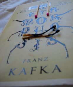 The Metamorphosis 13 61kCodKfiNL