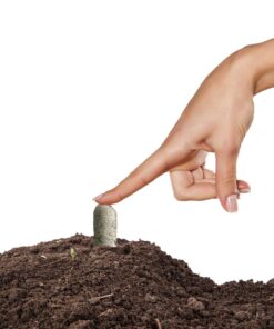 Jobe's, Fertilizer Spikes, All-Purpose, 50 Count, Flowers, Trees, Fruit, Nut, Shrubs, Vegetables 50 Spikes All Purpose 15 61kEJG5TcuL