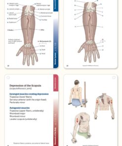 Trail Guide to the Body Flashcards, Vol 1 5 61kEnjMR3kL
