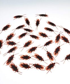 Cooplay 20PCS - Fake Roaches Prank - Cockroach Bugs Look Real Black Red 25 61kIWKnmCnL
